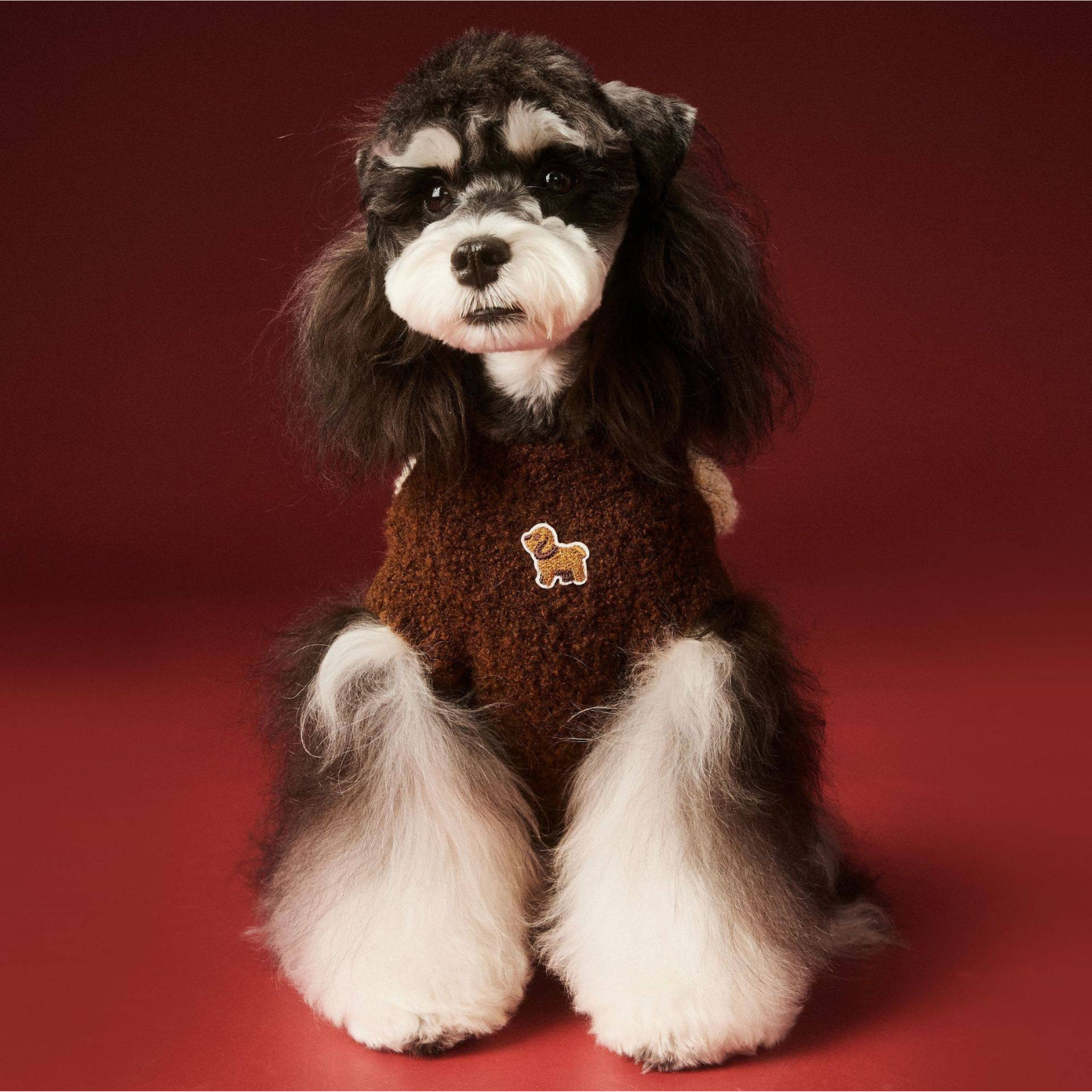 Maglioncino Gilet con Stampa Cagnolino Orecchie 3D