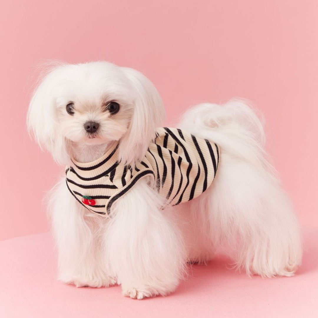 Maglietta Gilet a Righe Bianco e Nero con Ricamo Ciliegia