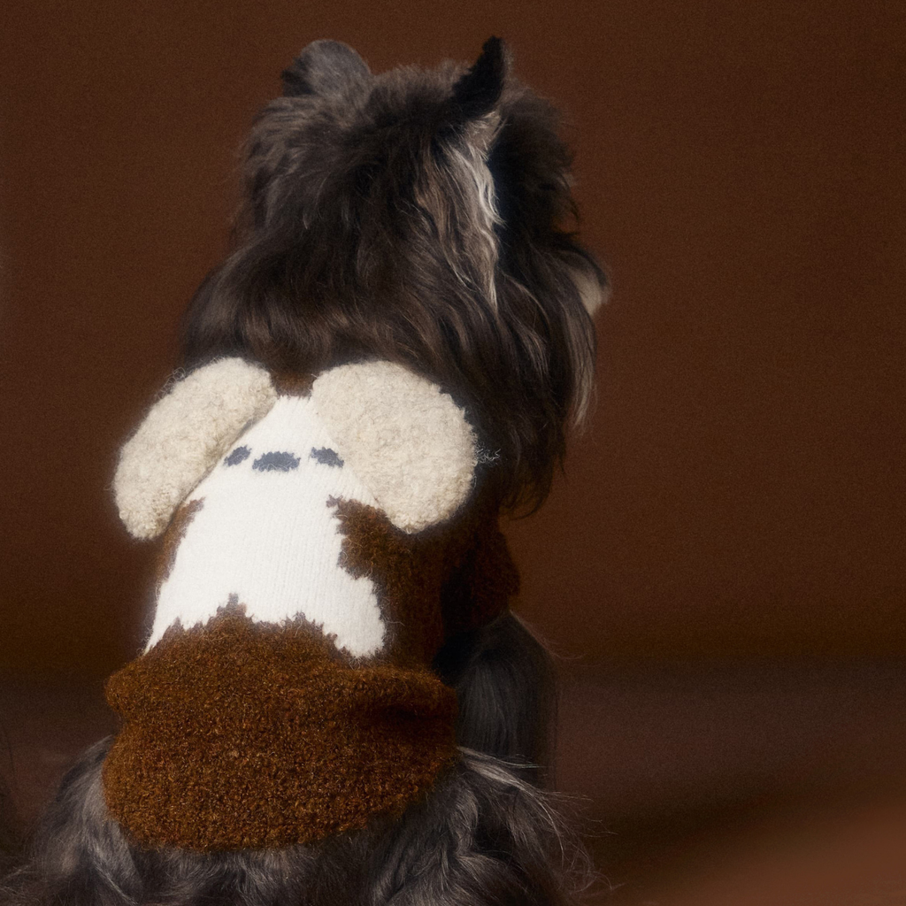 Maglioncino Gilet con Stampa Cagnolino Orecchie 3D