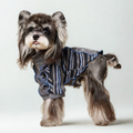 Felpa a Due Zampe con Collo Alto e Mezza Zip Design Patchwork con Stampa Cagnolino