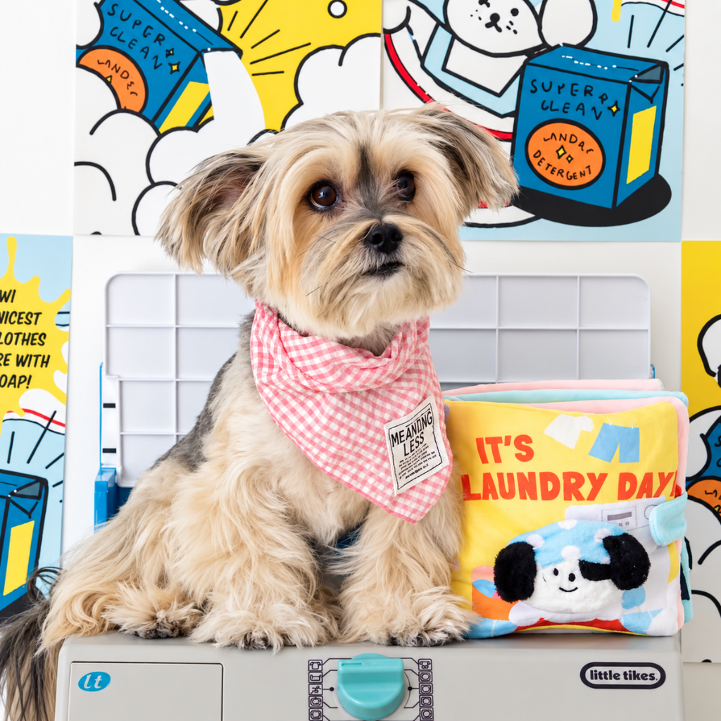BITE ME – It's Laundry Day | Libro Olfattivo Interattivo per Cani