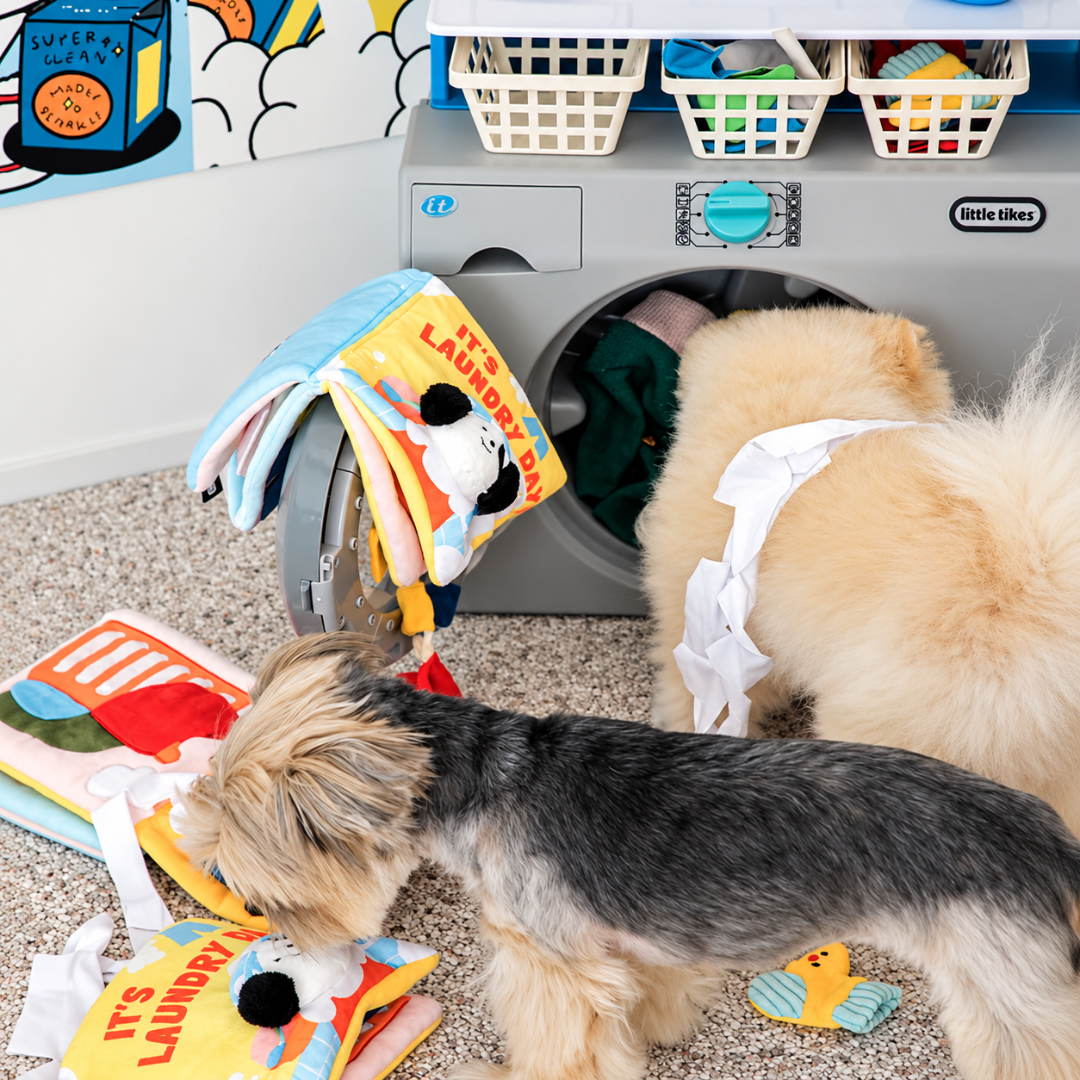 BITE ME – It's Laundry Day | Libro Olfattivo Interattivo per Cani