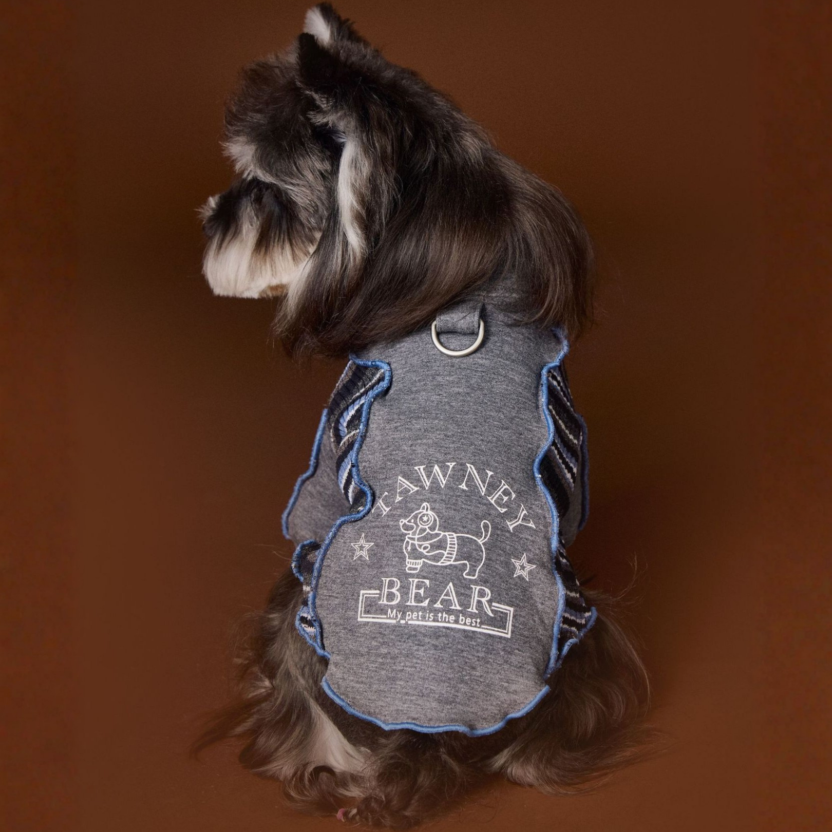 Felpa a Due Zampe con Collo Alto e Mezza Zip Design Patchwork con Stampa Cagnolino