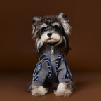 Felpa a Due Zampe con Collo Alto e Mezza Zip Design Patchwork con Stampa Cagnolino