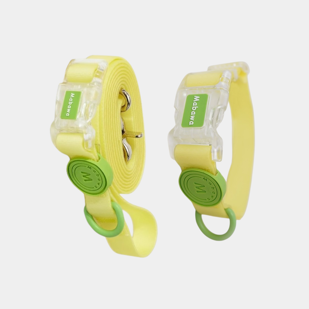 Set Collare + Guinzaglio Impermeabile Resistente Fibbia Trasparente