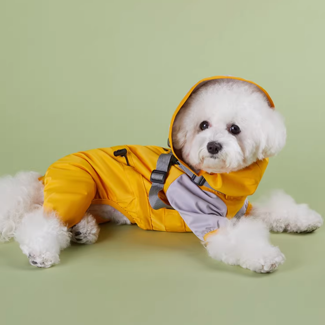 Impermeabile a Quattro Zampe per Cani con Cappuccio Rimovibile Giacca Outdoor Antivento