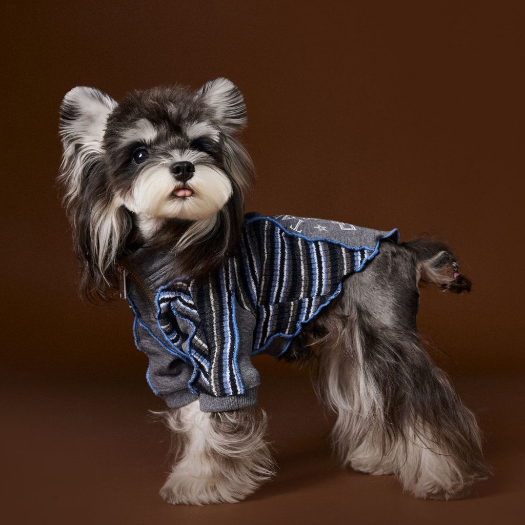 Felpa a Due Zampe con Collo Alto e Mezza Zip Design Patchwork con Stampa Cagnolino