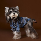 Felpa a Due Zampe con Collo Alto e Mezza Zip Design Patchwork con Stampa Cagnolino