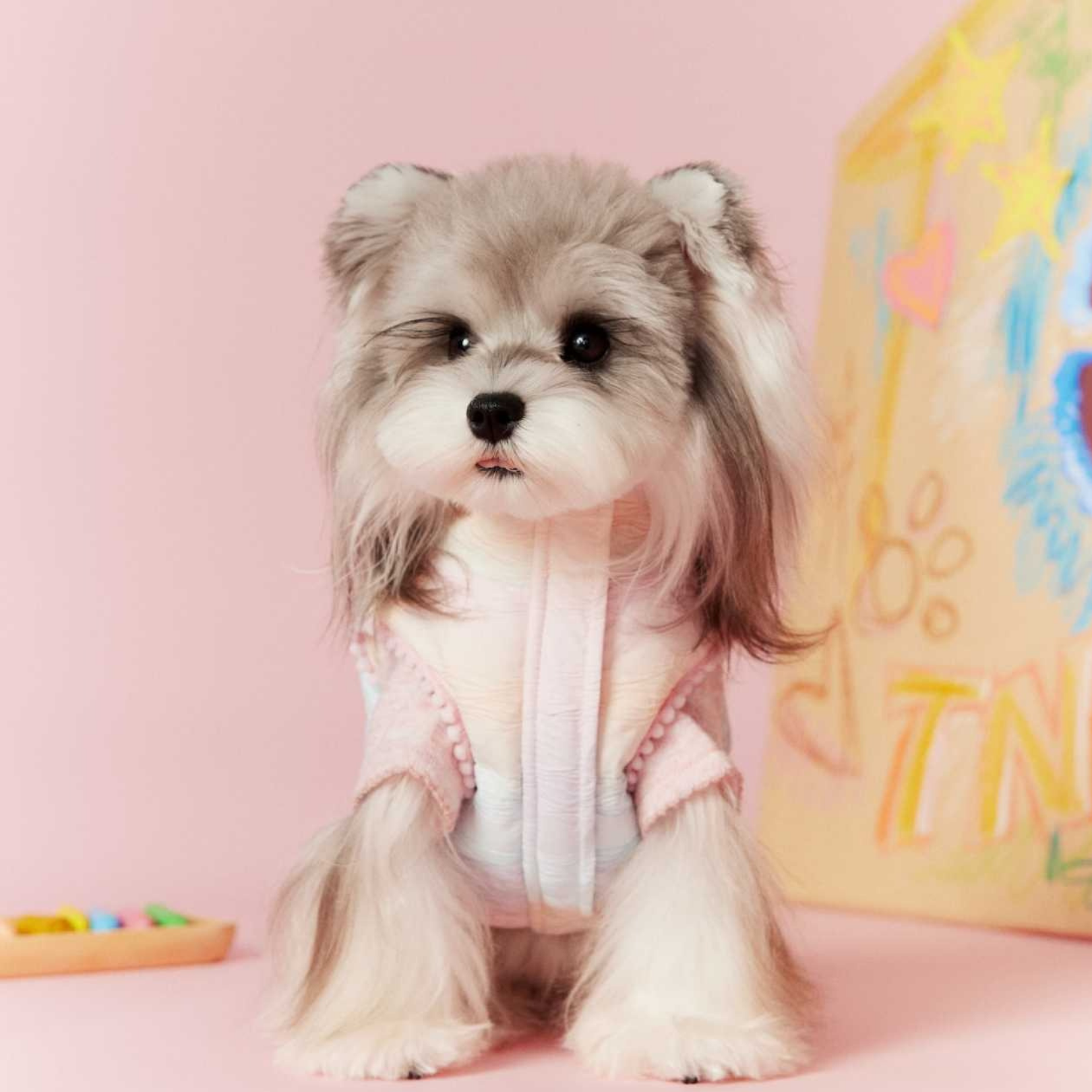 Gilet Imbottito Multicolore Arcobaleno Decorazioni Stella Cuore 90% Piumino d'Anatra