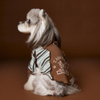 Felpa a Due Zampe con Collo Alto e Mezza Zip Design Patchwork con Stampa Cagnolino