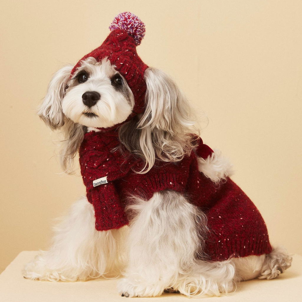 Maglioncino Gilet Rosso con Decorazione Cagnolino in Peluche e Fiocco 3D