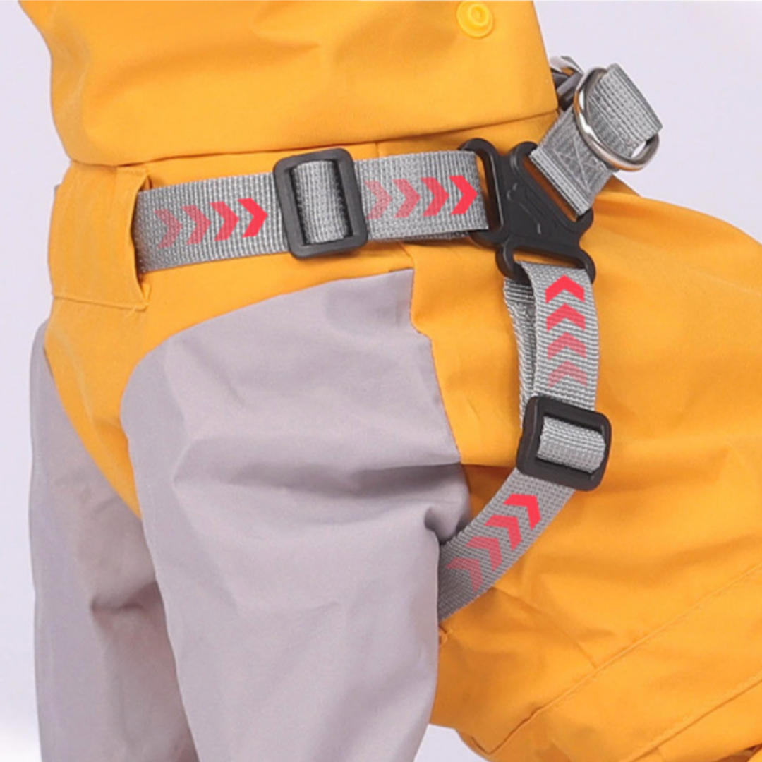 Impermeabile a Quattro Zampe per Cani con Cappuccio Rimovibile Giacca Outdoor Antivento