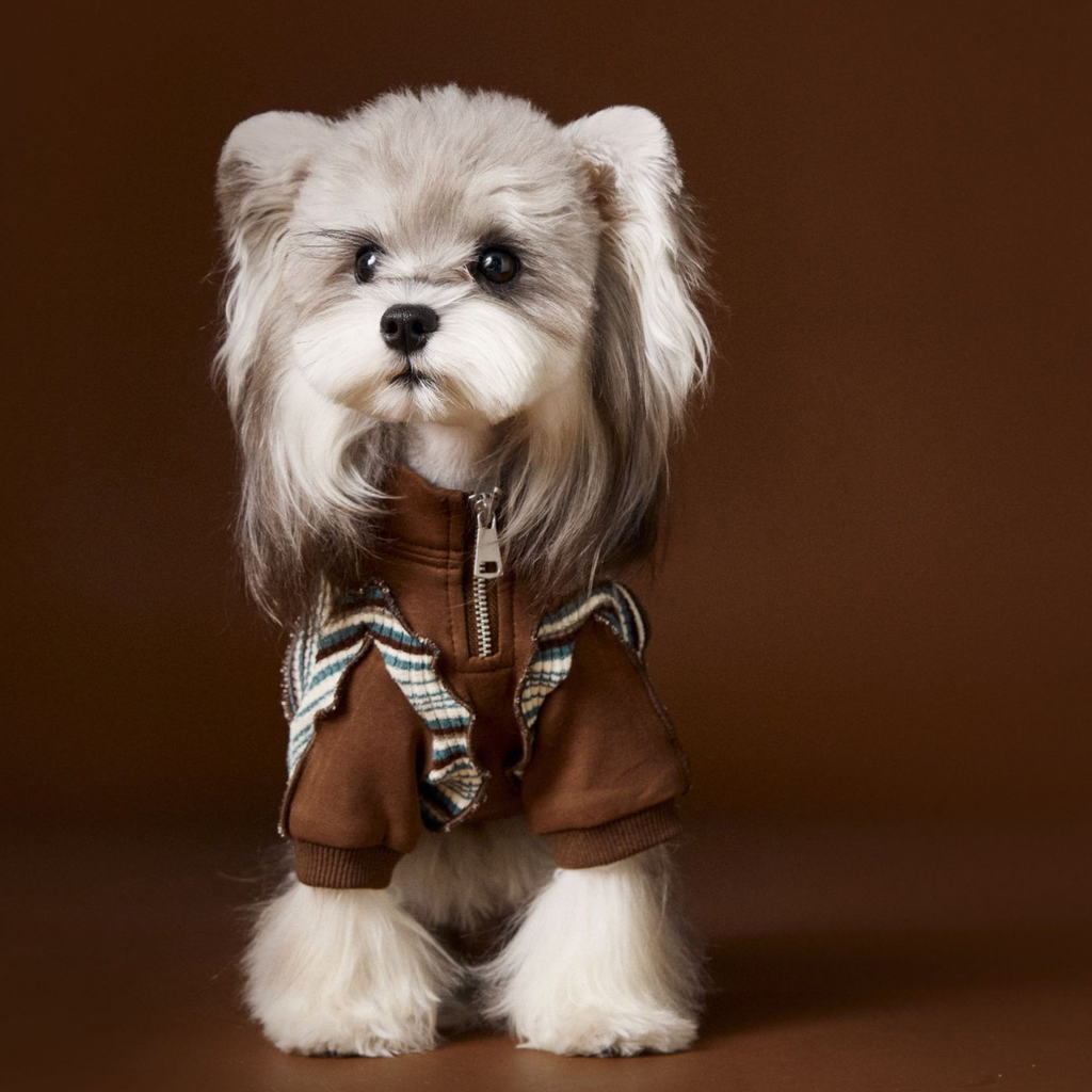 Felpa a Due Zampe con Collo Alto e Mezza Zip Design Patchwork con Stampa Cagnolino