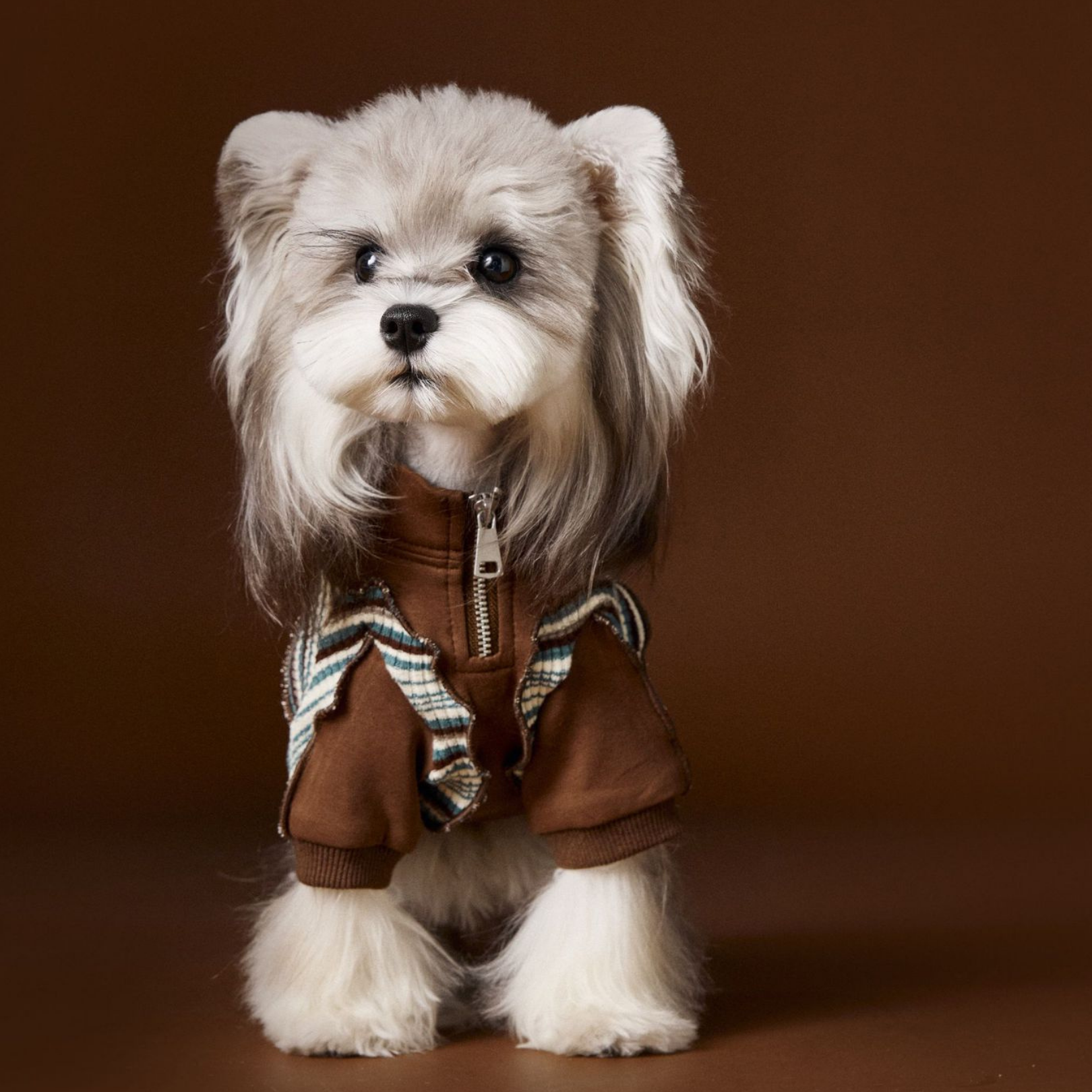 Felpa a Due Zampe con Collo Alto e Mezza Zip Design Patchwork con Stampa Cagnolino