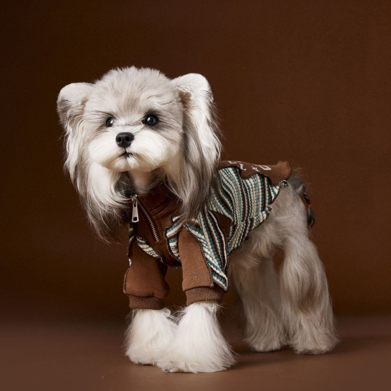 Felpa a Due Zampe con Collo Alto e Mezza Zip Design Patchwork con Stampa Cagnolino
