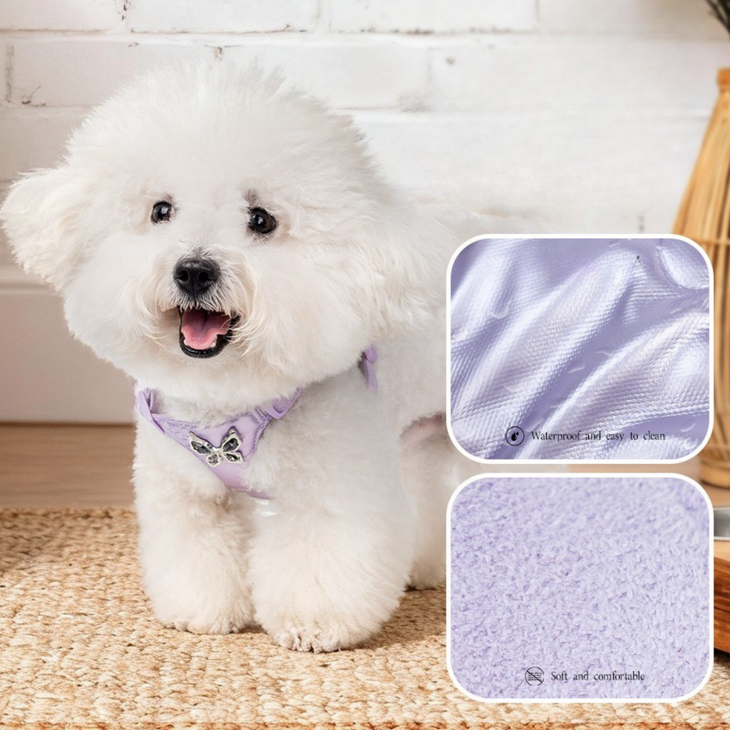 Set Pettorina + Guinzaglio in Tessuto Tecnico a Ultrasuoni e Camoscio Morbido con Decorazione Strass a Farfalla