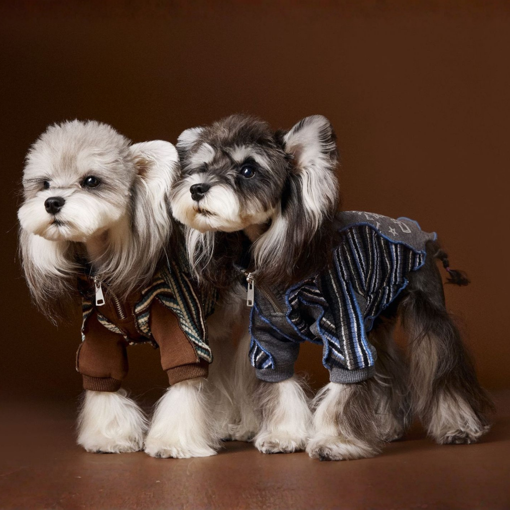 Felpa a Due Zampe con Collo Alto e Mezza Zip Design Patchwork con Stampa Cagnolino