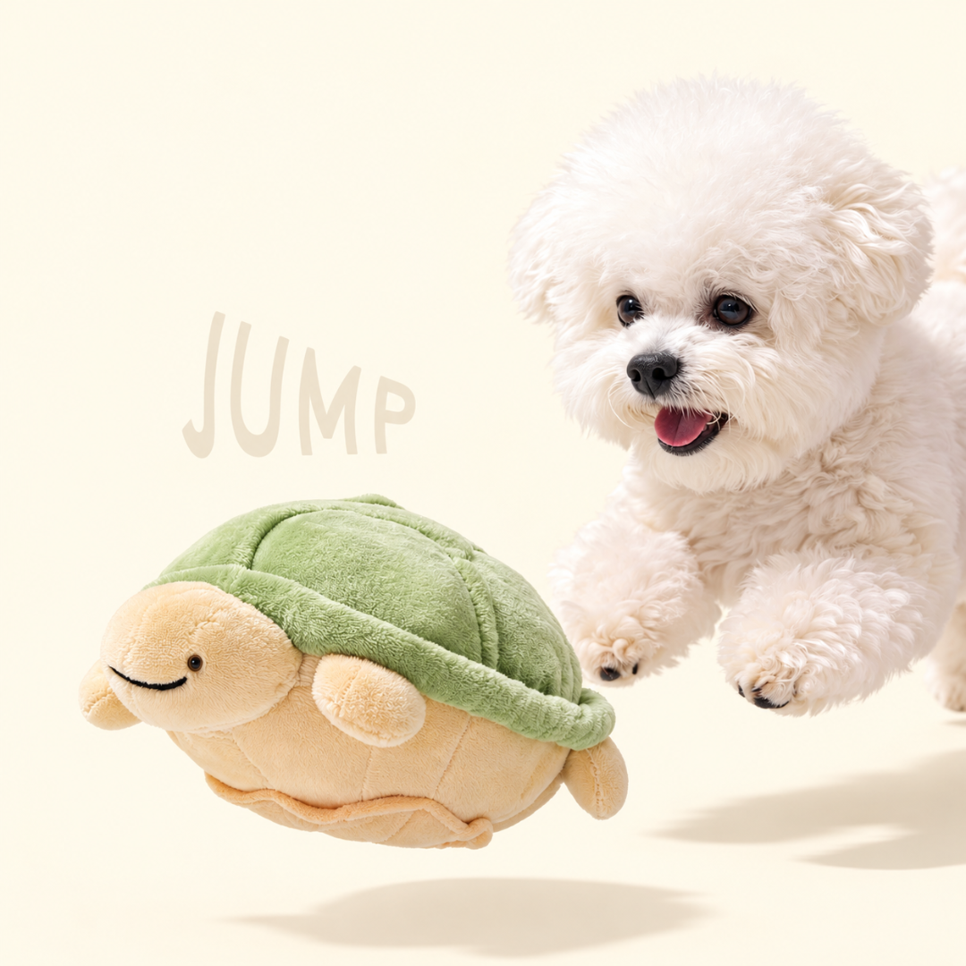 BITE ME – Gioco Olfattivo Interattivo per Cani con Pallina Rimbalzante Automatica | Tartaruga
