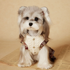 Vestito Maglioncino con Cappuccio Gilet in Maglia Beige con Gonna a Pieghe a Quadri Marrone