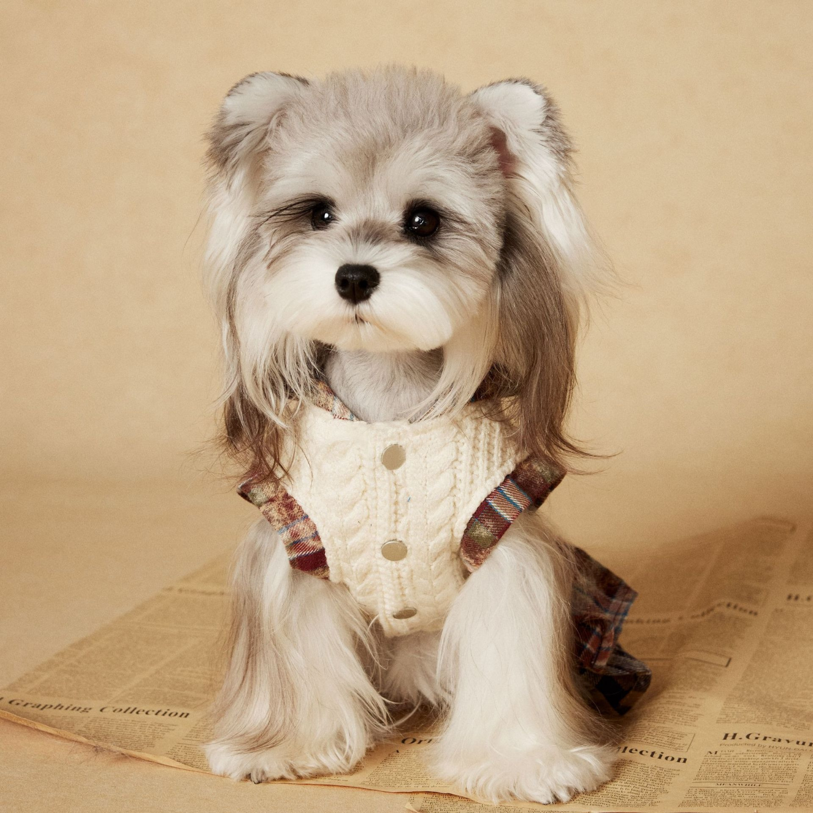 Vestito Maglioncino con Cappuccio Gilet in Maglia Beige con Gonna a Pieghe a Quadri Marrone