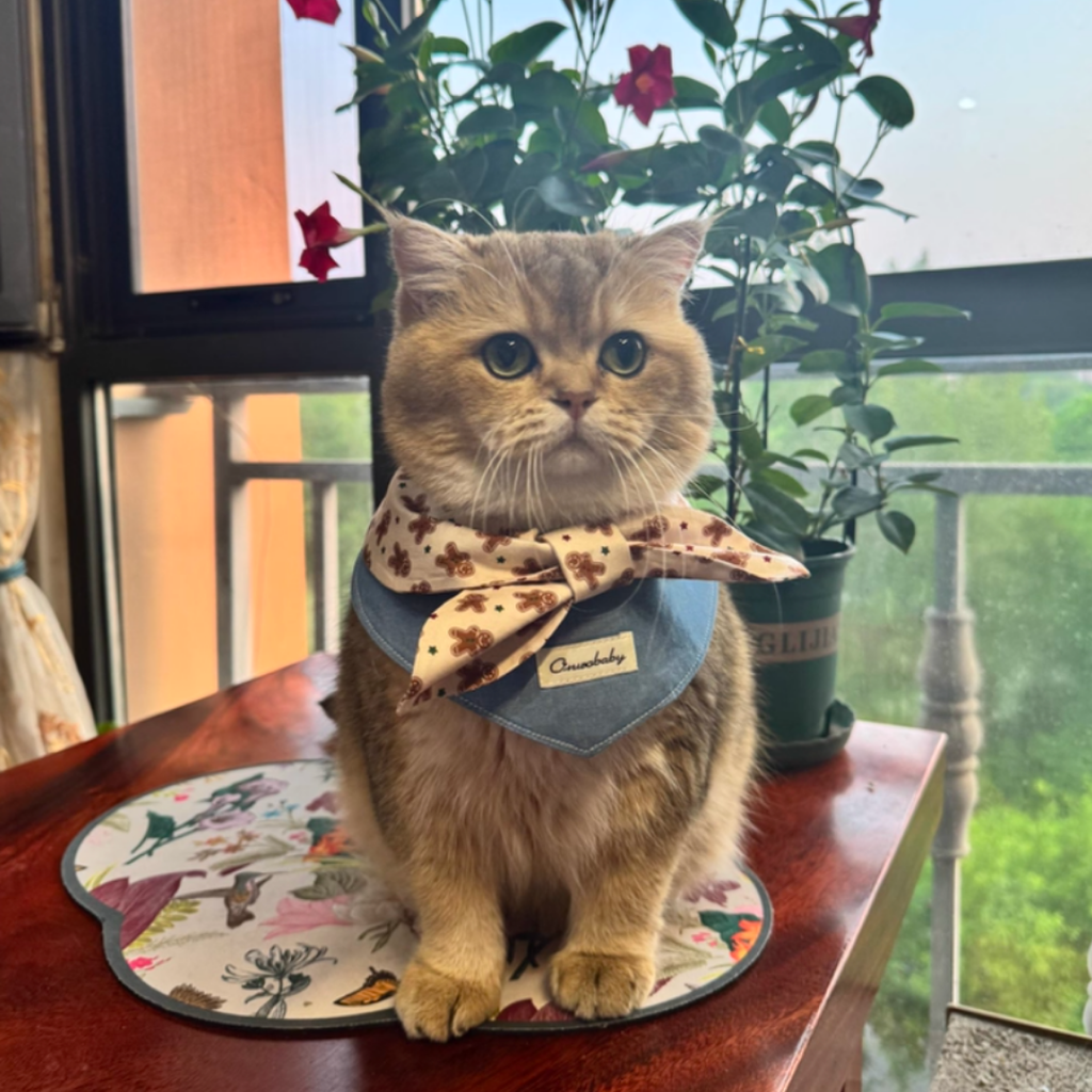 Bandana Triangolare in Denim con Fiocco a Fantasia Omino di Pan di Zenzero
