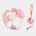 Set Pettorina + Guinzaglio con Grande Fiocco Imbottito Stile Dolce per Cani Gatti