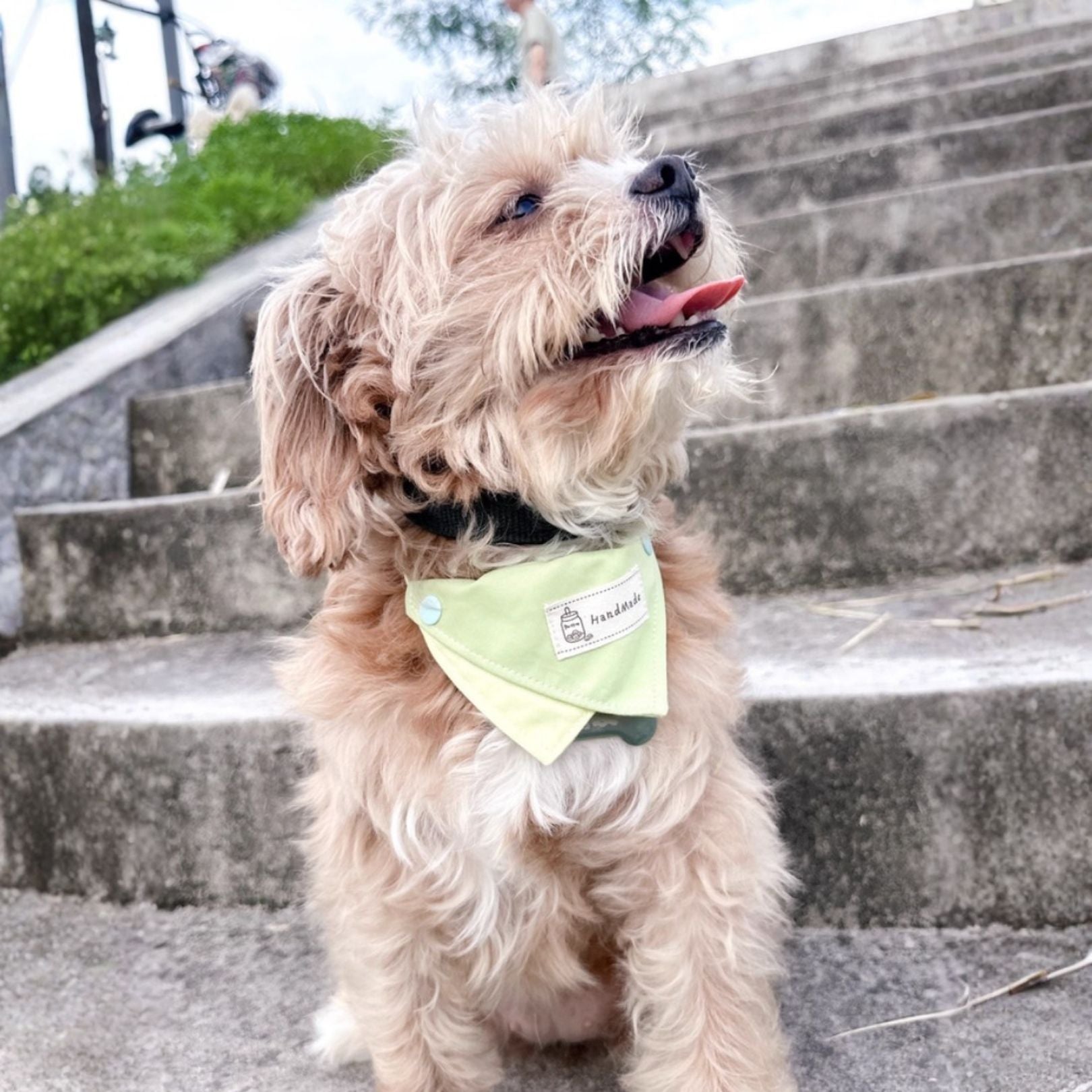 Bandana Triangolare in Cotone Design Minimal Bicolore Regolabile con Elastico