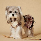Vestito Maglioncino con Cappuccio Gilet in Maglia Beige con Gonna a Pieghe a Quadri Marrone