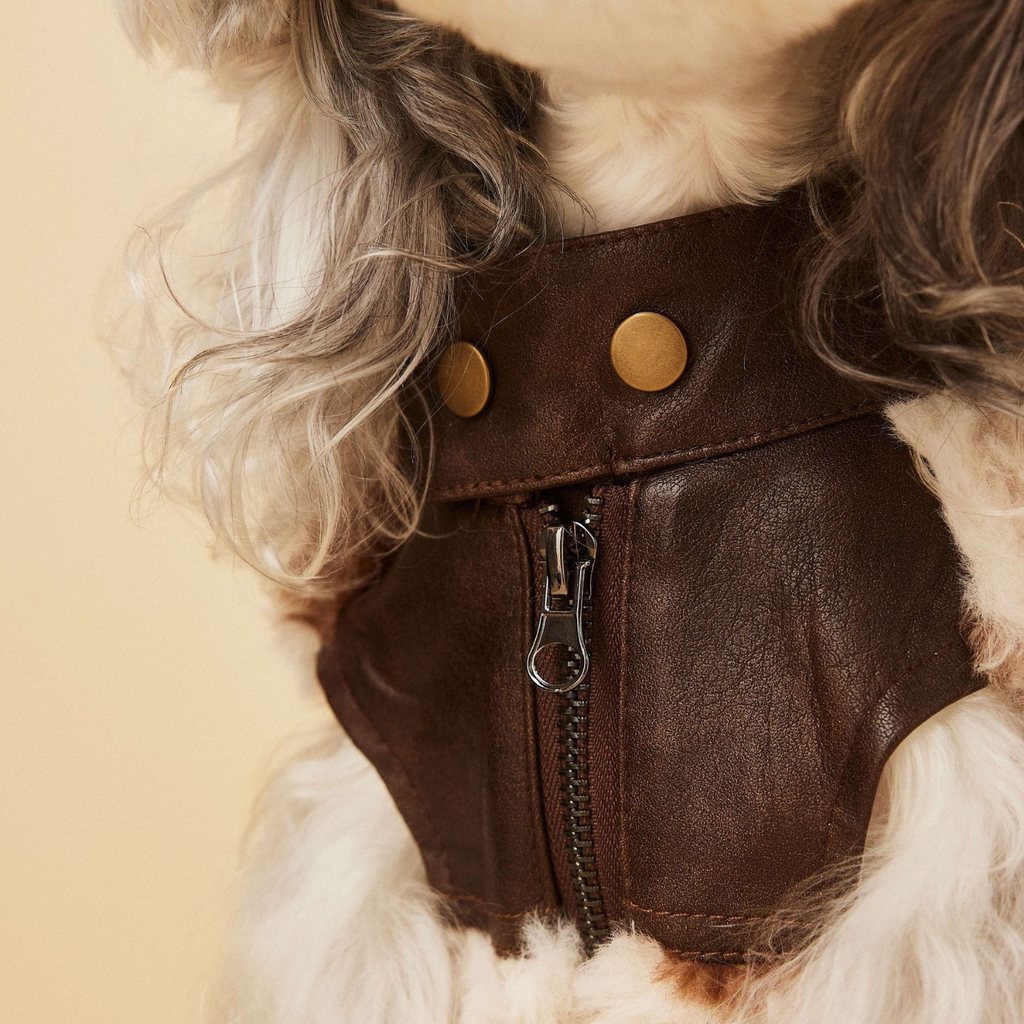 Gilet in Ecopelliccia con Stampa Leopardata Dettagli in Ecopelle