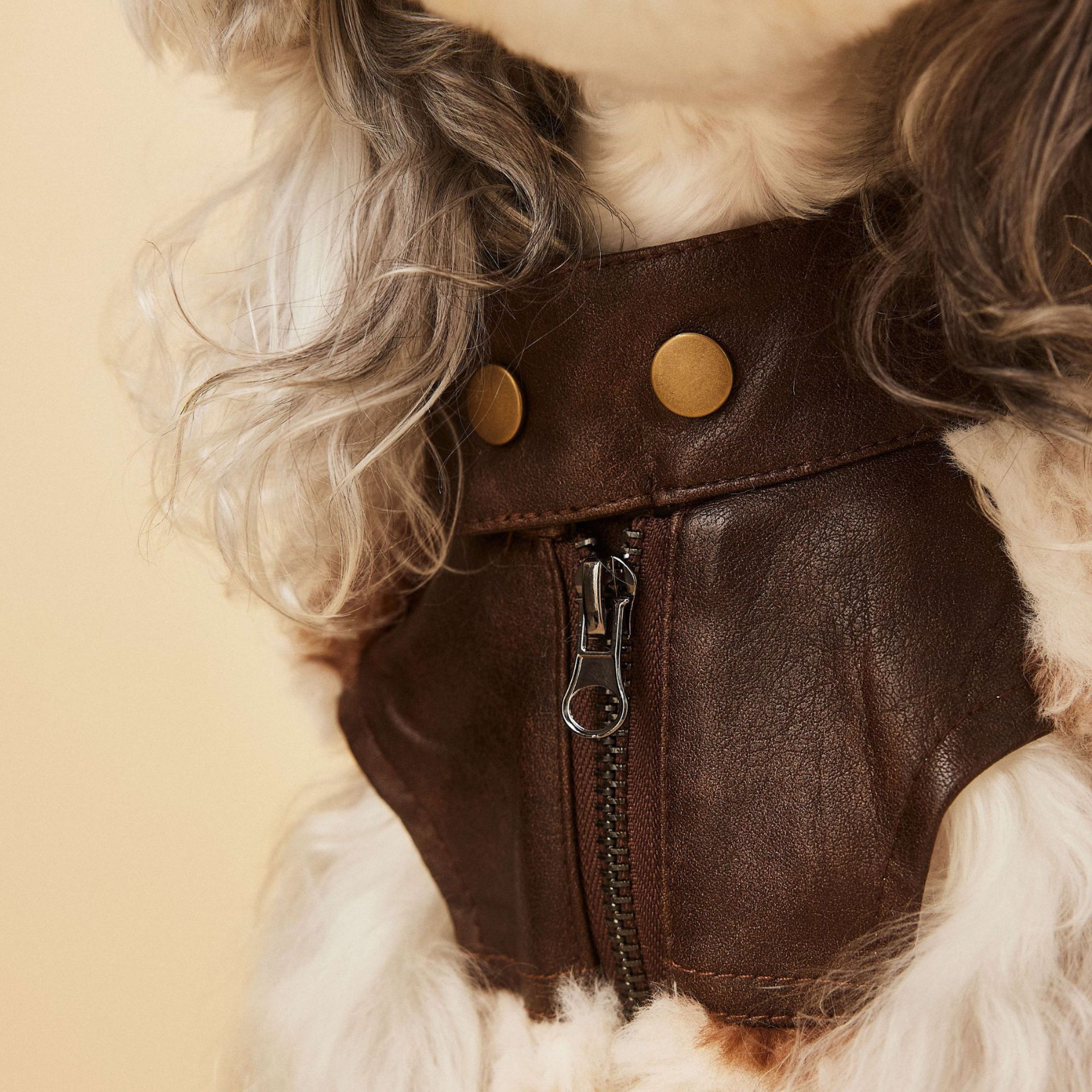 Gilet in Ecopelliccia con Stampa Leopardata Dettagli in Ecopelle