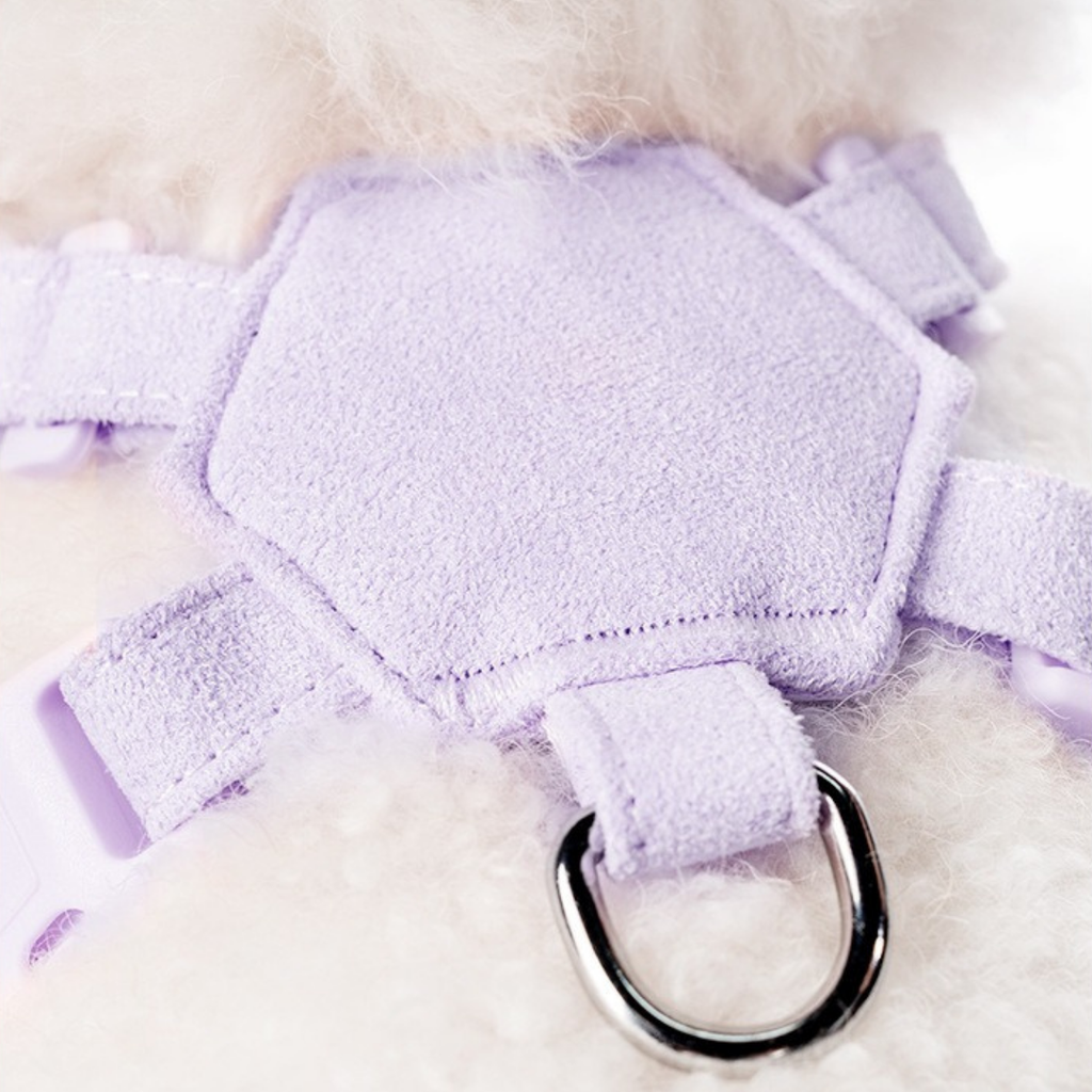 Set Pettorina + Guinzaglio in Tessuto Tecnico a Ultrasuoni e Camoscio Morbido con Decorazione Strass a Farfalla