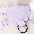Set Pettorina + Guinzaglio in Tessuto Tecnico a Ultrasuoni e Camoscio Morbido con Decorazione Strass a Farfalla
