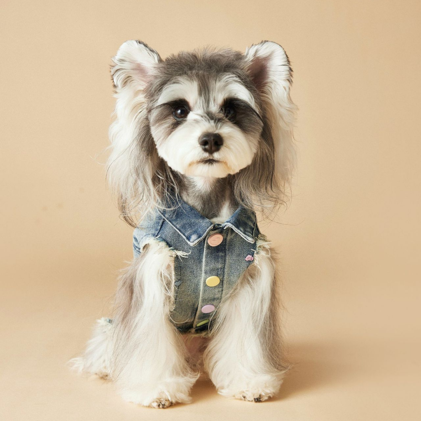 Gilet in Jeans con Bordi Sfrangiati Ricami Cagnolino e Cuoricini Stile Vintage