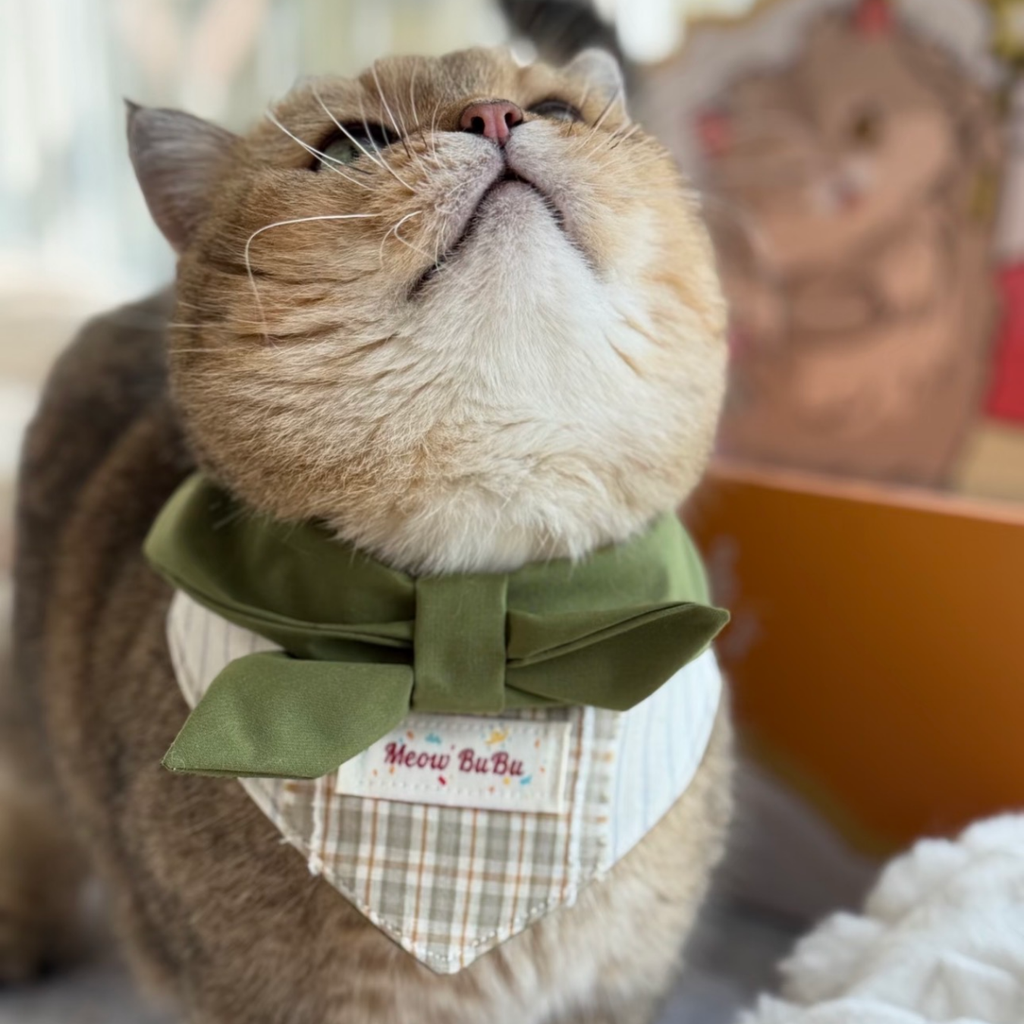Meow BuBu Handmade Bandana - Collezione Foresta Incantata