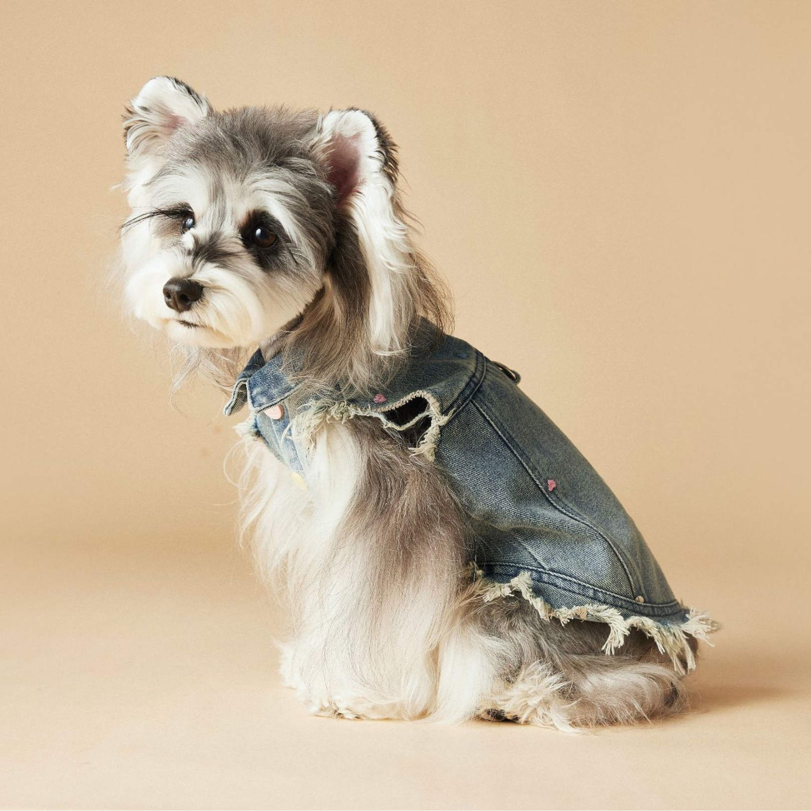 Gilet in Jeans con Bordi Sfrangiati Ricami Cagnolino e Cuoricini Stile Vintage