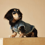 Gilet in Jeans con Bordi Sfrangiati Ricami Cagnolino e Cuoricini Stile Vintage