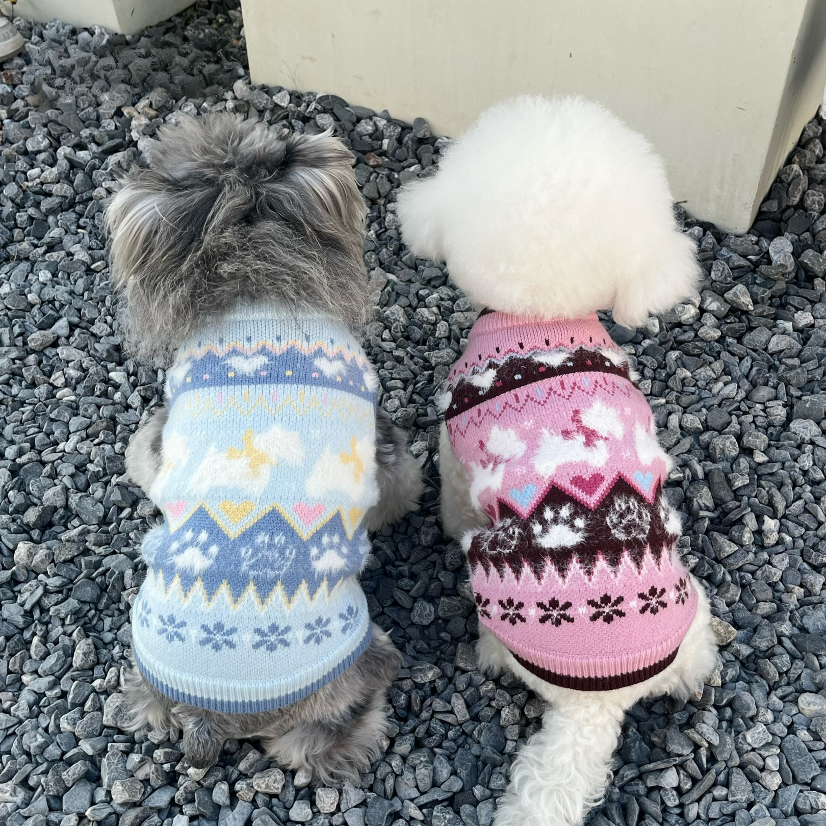 Maglioncino Gilet in Stile Fair Isle con Fantasia Originale Cagnolino e Zampette