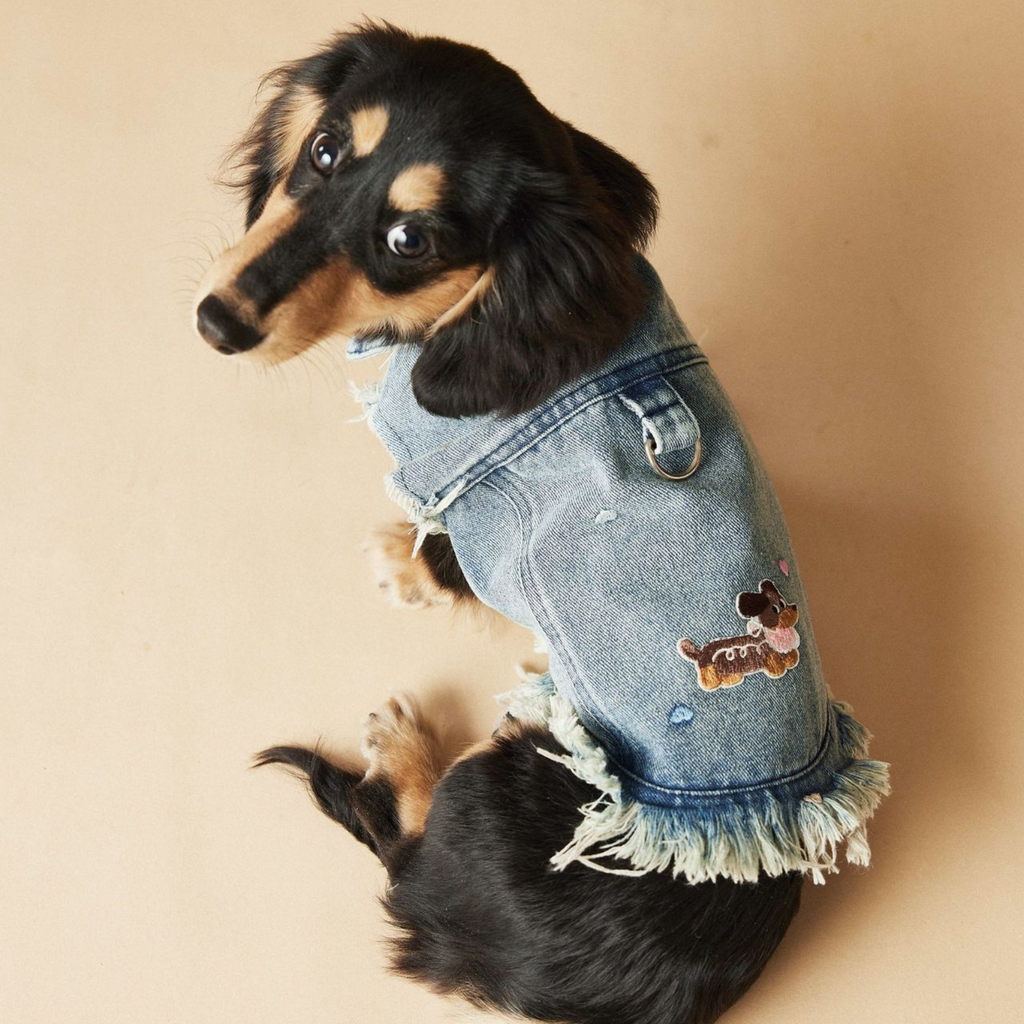 Gilet in Jeans con Bordi Sfrangiati Ricami Cagnolino e Cuoricini Stile Vintage