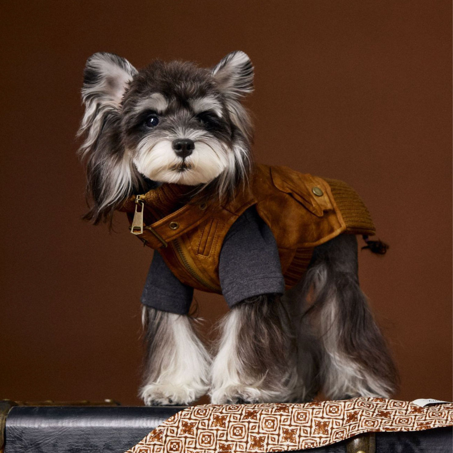 Maglia a Due Zampe Tinta Unita con Collo Mezzo Alto Catena di Lettere Rimovibile