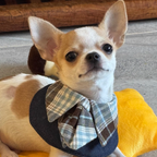 Bandana con Cravatta Stile Professionale Bavaglino per Cani Gatti