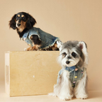 Gilet in Jeans con Bordi Sfrangiati Ricami Cagnolino e Cuoricini Stile Vintage