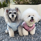 Maglioncino Gilet in Stile Fair Isle con Fantasia Originale Cagnolino e Zampette