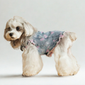 Gilet in Jeans con Bordi Sfrangiati Ricami Cuori Rosa