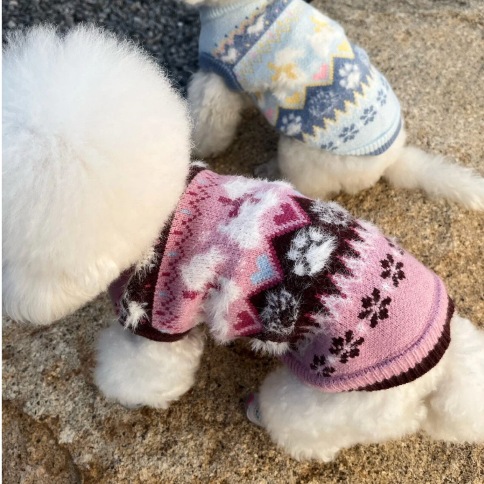 Maglioncino Gilet in Stile Fair Isle con Fantasia Originale Cagnolino e Zampette