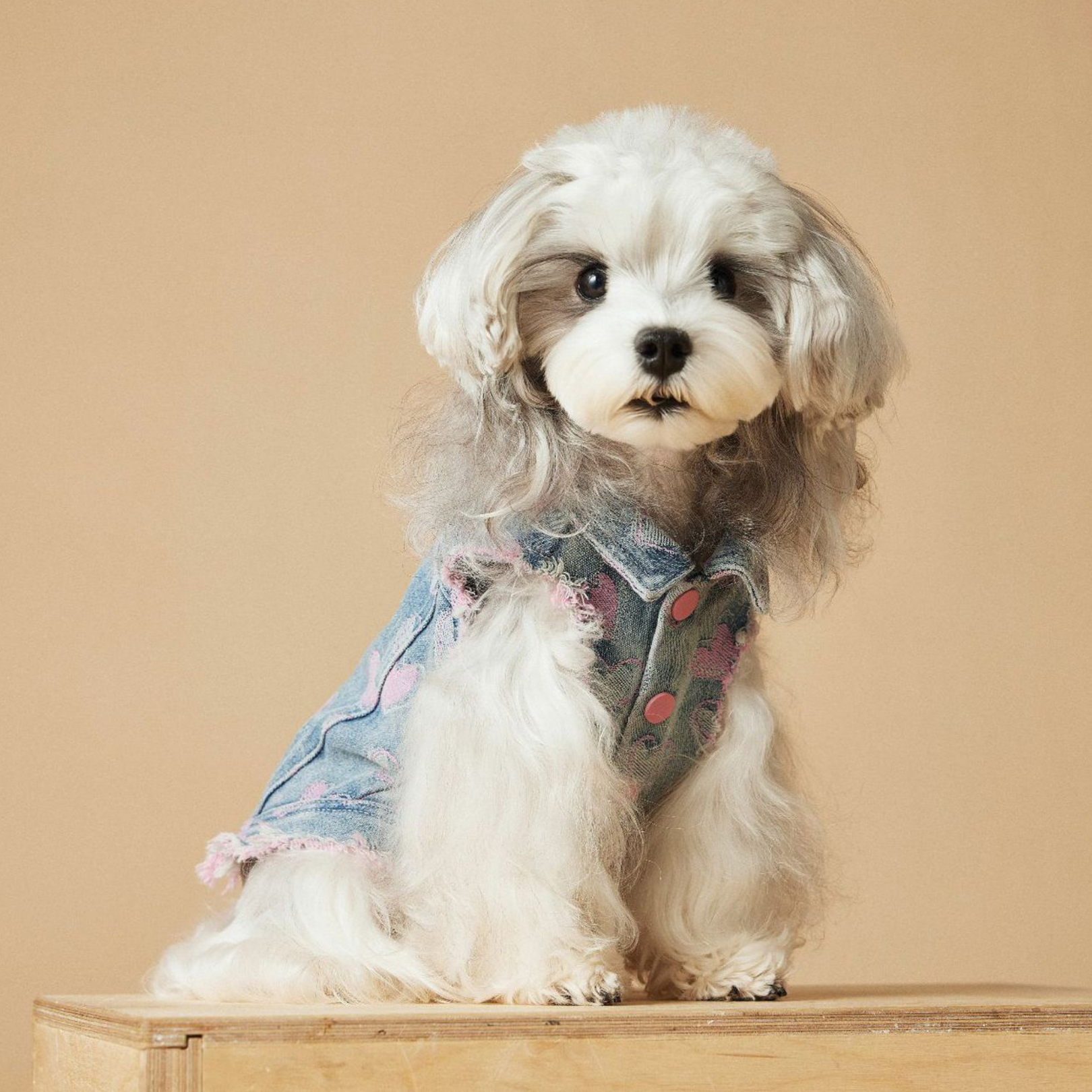 Gilet in Jeans con Bordi Sfrangiati Ricami Cuori Rosa