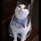 Meow BuBu Handmade Bandana - Collezione Respiro del Mare
