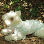 Gilet Estivo Rinfrescante e Anti-UV con Effetto Fresco a Lunga Durata