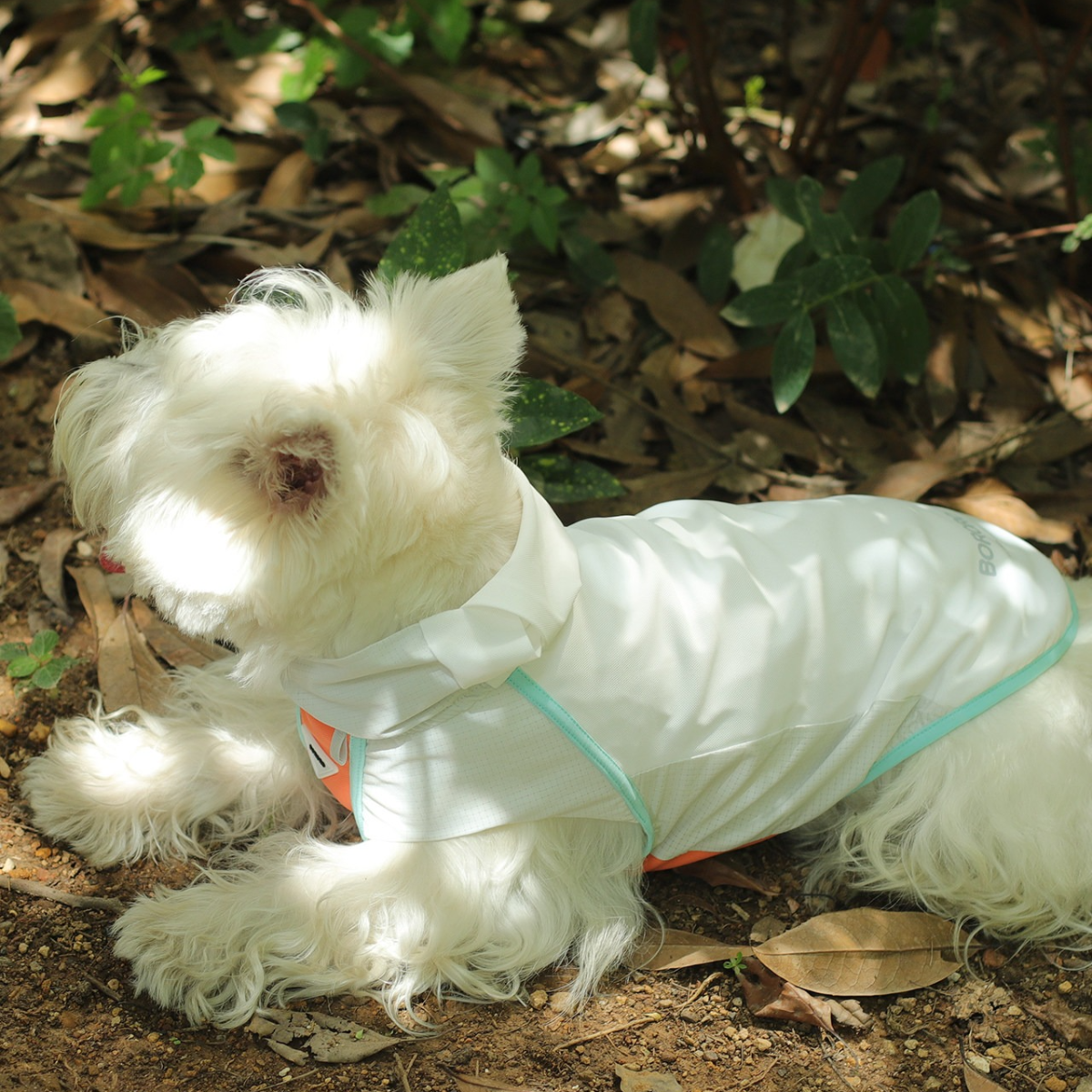 Gilet Estivo Rinfrescante e Anti-UV con Effetto Fresco a Lunga Durata