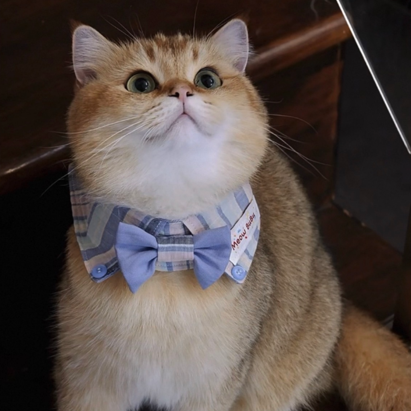 Meow BuBu Handmade Bandana - Collezione Respiro del Mare