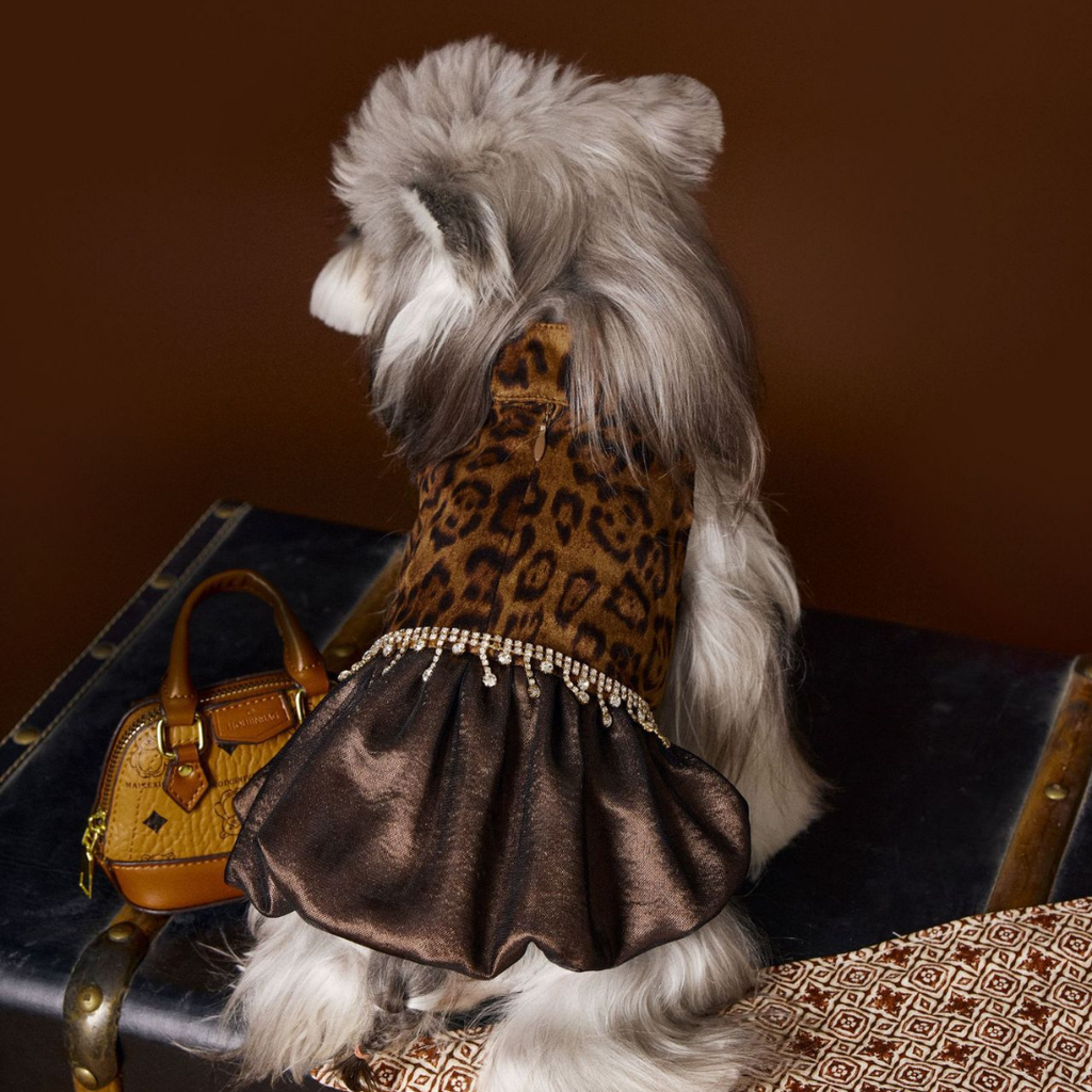 Vestito Leopardato con Catena Strass Abito Elegante Moderno